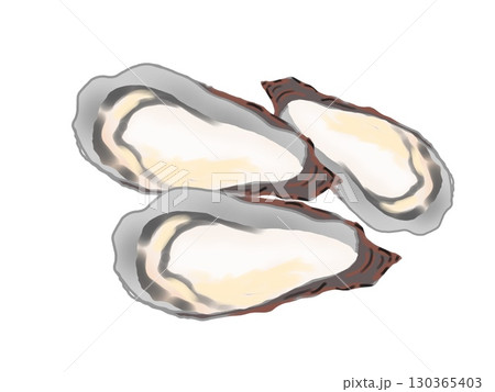 シンプルな牡蠣のイラスト 130365403