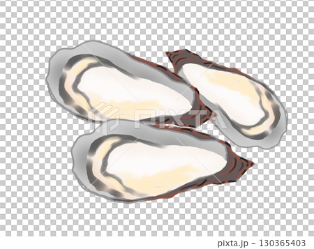 シンプルな牡蠣のイラスト 130365403
