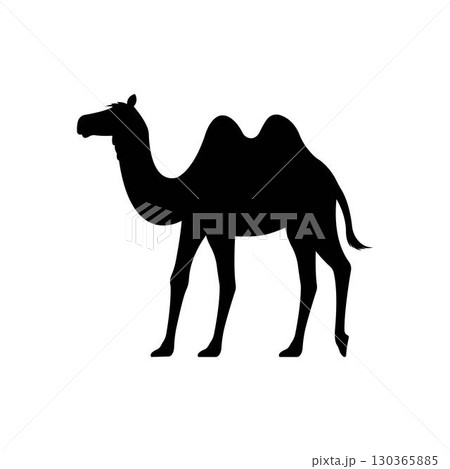 Camel illustration logo vector 130365885