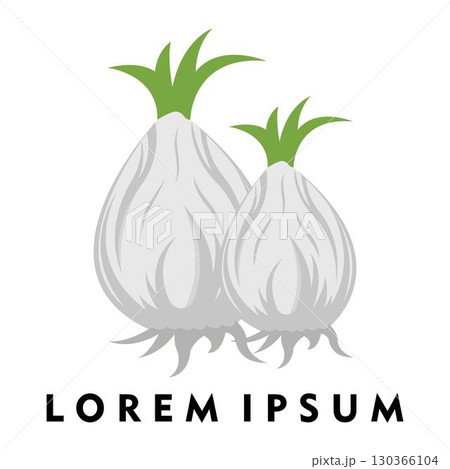 Garlic illustration logo icon vector design template Garlic illustration logo icon vector design template 130366104