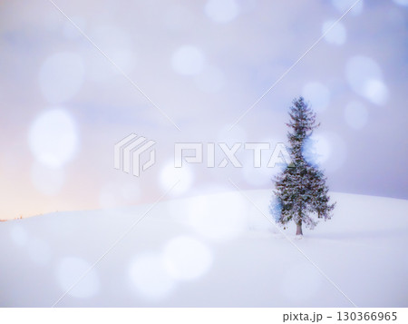 雪の上に立つクリスマスツリー 雪の上に立つクリスマスツリー 130366965