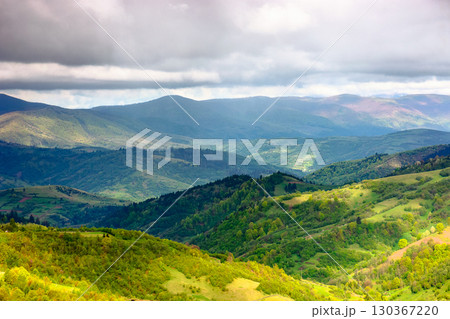 mountain landscape of ukraine in spring. rolling countryside scenery in dappled light. forest in lush green foliage on a hill under cloudy sky. scenic view in to the distant valley of mizhhirya region mountain landscape of ukraine in spring. rolling countryside scenery in dappled light. forest in lush green foliage on a hill under cloudy sky. scenic view in to the distant valley of mizhhirya region 130367220