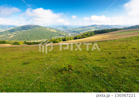 scenery with rural field on grassy hill of mountains. beautiful countryside landscape in ukrainian carpathians on a sunny day. scenic view of alpine pasture and distant valley. forest on hillside 130367221