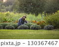 Woman Relaxing in a Lavender Garden 130367467