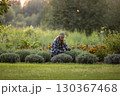 Woman Tending to Lavender Garden During Sunset 130367468