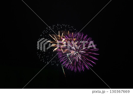 新城納涼花火大会　花火 130367669