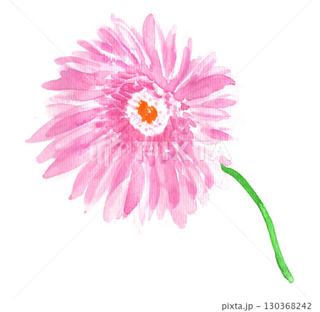 水彩で描いたピンクのガーベラ2592pix7 水彩で描いたピンクのガーベラ2592pix7 130368242