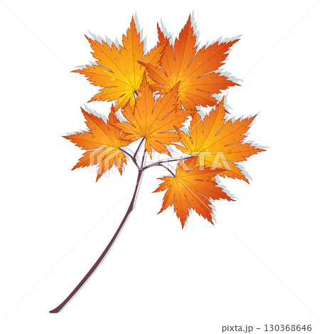 Hand-drawn red-yellow colored golden autumn maple leaves branch isolated on white background. Flat and line style vector illustration.  130368646