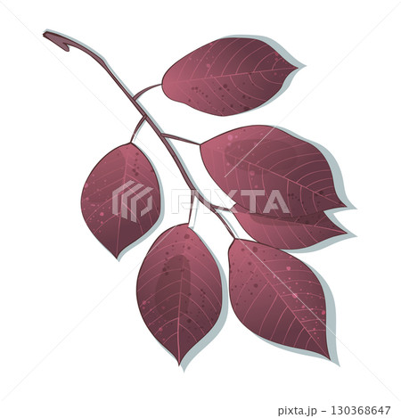 Hand-drawn autumn colored purple leaves branch isolated on white background. Flat and line style vector illustration. 130368647