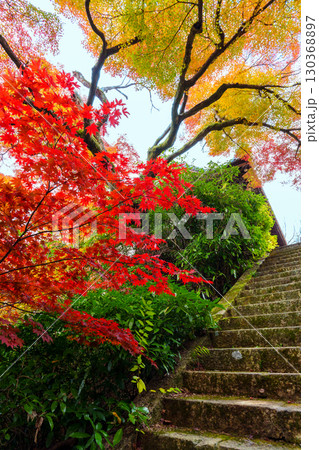 紅葉に包まれた山崎聖天の石段 紅葉に包まれた山崎聖天の石段 130368897