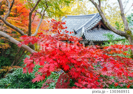 紅葉に包まれた山崎聖天 130368931