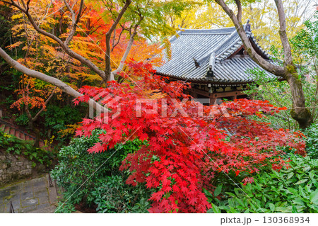 紅葉に包まれた山崎聖天 紅葉に包まれた山崎聖天 130368934
