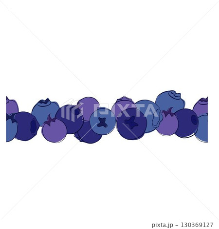 Seamless border of blueberry. Vector graphic line Botanical illustration for decoration, design, tape. Seamless border of blueberry. Vector graphic line Botanical illustration for decoration, design, tape. 130369127
