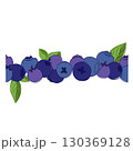 Card template seamless border with graphic line blueberries , frame border background, hand painted on a white transparent background. vector illustration 130369128
