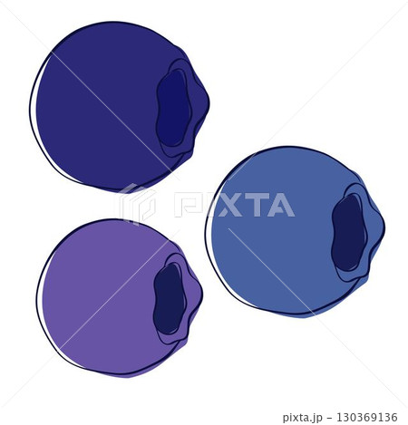 Graphic line blueberry set, three colored berries, vector isolated illustration on transparent background 130369136