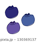 Graphic line isolated ripe blueberry berry. vector plump bilberry, showcases its deep indigo on transparent background 130369137