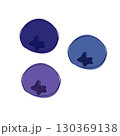 Vector illustration of fresh blueberry in graphic line style. Vector Sweet fruit in three colors isolated on white transparent background 130369138