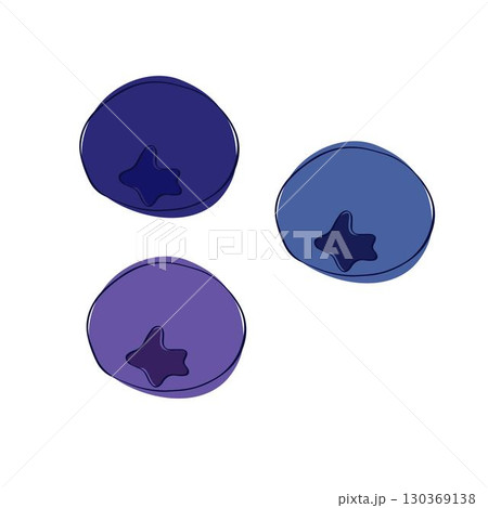 Vector illustration of fresh blueberry in graphic line style. Vector Sweet fruit in three colors isolated on white transparent background 130369138