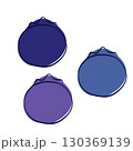 Blueberry graphic minimalistic flat and line style. Vector set of blueberries different colors 130369139