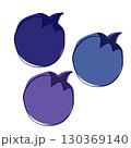 Blueberry. Hand drawn graphic style. Isolated Vector illustration in three colors, transparent background 130369140