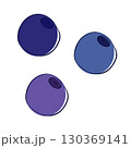 Blueberry graphic line vector illustration isolated on white transparent background 130369141