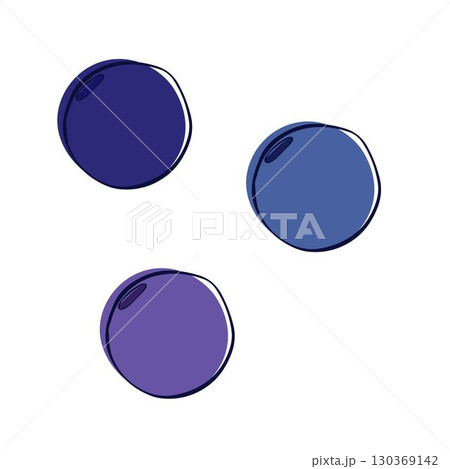 Graphic line raw isolated ripe blueberry berry. vector plump bilberry, isolated on transparent background in three colors set 130369142