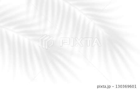 Tropical palm shadow overlay with realistic bamboo, fern leaves silhouette. Background illuminated by sunlight through tropical foliage. Vector illustration 130369601