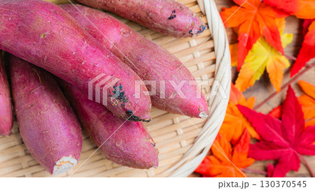 紅はるかと秋の彩り(さつまいも) 紅はるかと秋の彩り(さつまいも) 130370545