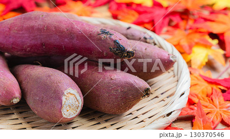 紅はるかと秋の彩り(さつまいも) 紅はるかと秋の彩り(さつまいも) 130370546