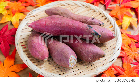 紅はるかと秋の彩り（さつまいも） 130370549