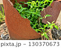 裂け目からの生命 130370673