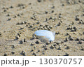 砂浜の羽根と砂粒 130370757