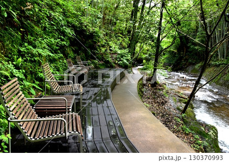 湯河原町 万葉公園湯河原惣湯川の道とテラス席と千歳川と新緑 湯河原町 万葉公園湯河原惣湯川の道とテラス席と千歳川と新緑 130370993