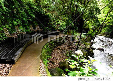 湯河原町　万葉公園湯河原惣湯川の道とテラス席と千歳川と新緑 130371002