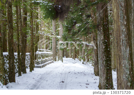 雪の参道に並ぶ石灯籠と杉木立の静寂な風景 130371720