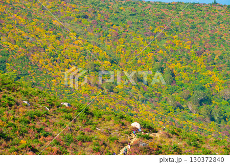 秋の安達太良山 130372840