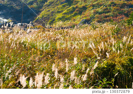 秋の安達太良山 130372879