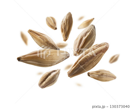 Barley malt grains levitate on a white background 130373040