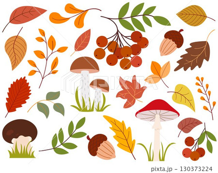 Autumn set of leaves, mushrooms, acorns and berries Autumn set of leaves, mushrooms, acorns and berries 130373224