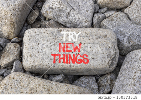 Try new things symbol. Concept words Try new things on beautiful grey stone. Beautiful grey mountain stone background. Business motivational lifestyle try new things concept. Copy space. Try new things symbol. Concept words Try new things on beautiful grey stone. Beautiful grey mountain stone background. Business motivational lifestyle try new things concept. Copy space. 130373319