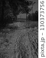 WInter forest 130373756
