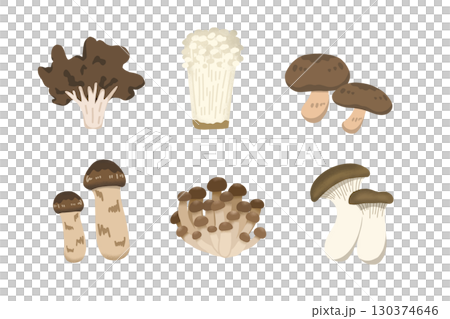舞茸・えのき・しいたけ・松茸・しめじ・エリンギ イラスト 130374646