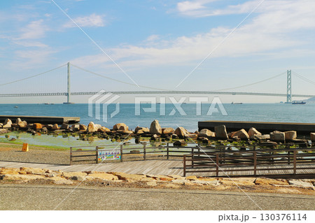 大蔵海岸公園の磯浜と明石海峡大橋 130376114