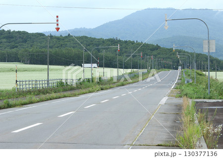 花満開のそば畑　日本一のそば畑　シーニックバイウェイ　幌加内町 130377136