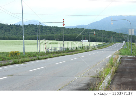 花満開のそば畑　日本一のそば畑　シーニックバイウェイ　幌加内町 130377137
