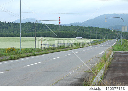 花満開のそば畑　日本一のそば畑　シーニックバイウェイ　幌加内町 130377138