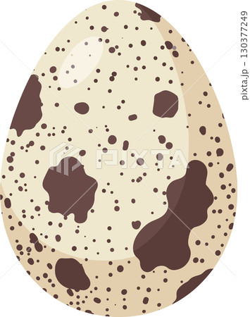 リアルなうずらの卵のベクターアイコン リアルなうずらの卵のベクターアイコン 130377249