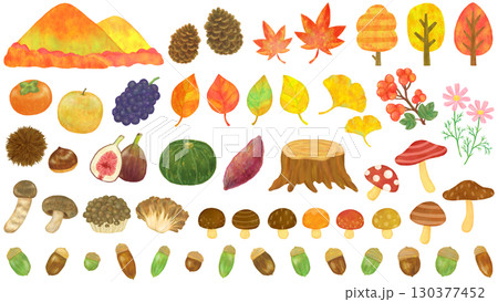 秋の植物・食べ物のイラストセット 130377452
