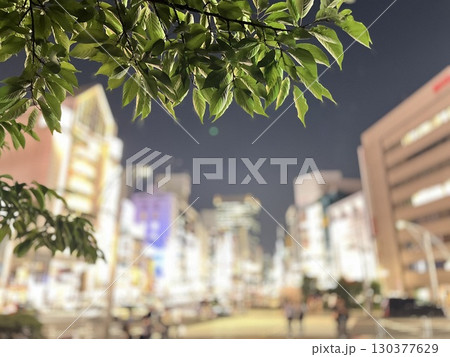 新緑の桜から見る夜の上野 新緑の桜から見る夜の上野 130377629