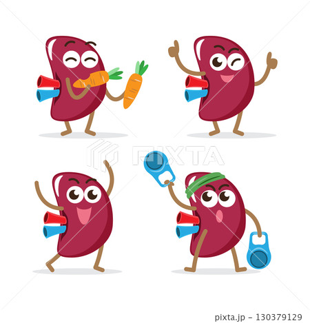 Healthy spleen cartoon characters collection on isolated white background . Vector . 130379129